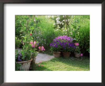 Pots On Path Under Lathyrus Arch by Sunniva Harte Pricing Limited Edition Print image