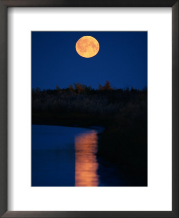 Moonrise Over The Delta by Raymond Gehman Pricing Limited Edition Print image