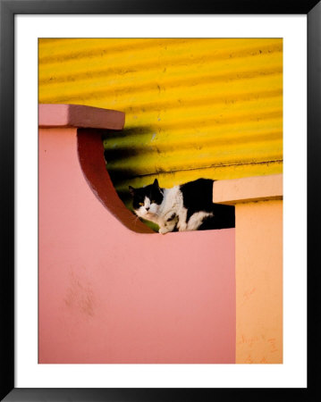 Caminito Avenue, La Boca District, Buenos Aires, Argentina by Stuart Westmoreland Pricing Limited Edition Print image