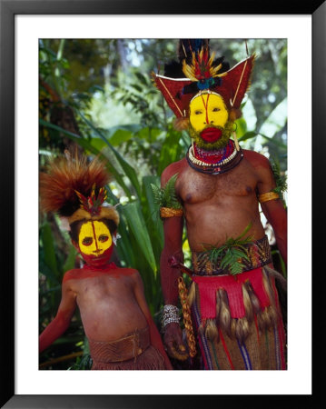 Huli Wigmen, Traditional Body Decoration, Papua New Guinea by Michele Westmorland Pricing Limited Edition Print image