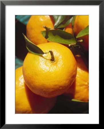 Tangerines by Chel Beeson Pricing Limited Edition Print image