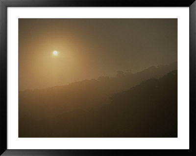 Sun And Haze Over Rain Forest, Costa Rica by Michael Melford Pricing Limited Edition Print image