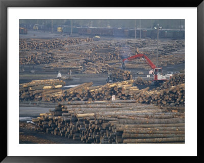 Logs Await Shipment By Rail To Mills by Joel Sartore Pricing Limited Edition Print image