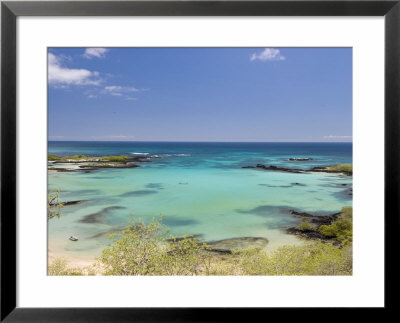 Beach & Lowlands, Galapagos, Ecuador by David M. Dennis Pricing Limited Edition Print image