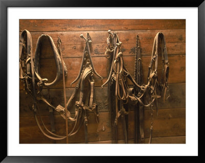 Equipment For Horse Riding Hanging On Wall by Bob Jacobson Pricing Limited Edition Print image