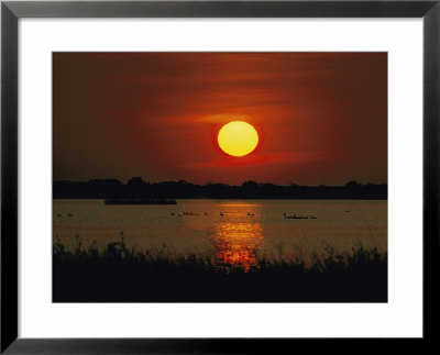 Wildfoul At Sunset On The Outer Banks by Emory Kristof Pricing Limited Edition Print image