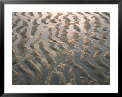 Ripple-Patterned Tidal Flat At Low Tide by Darlyne A. Murawski Pricing Limited Edition Print image