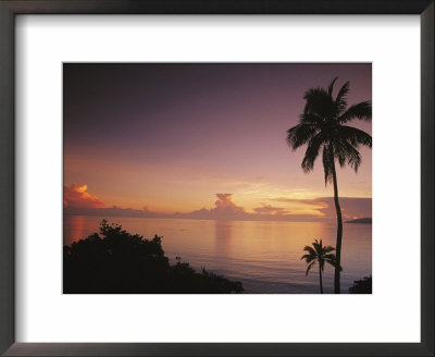 Palm Trees Silhouetted Against Sky And Ocean At Sunrise by Mark Cosslett Pricing Limited Edition Print image
