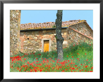 Abandoned Villa With Red Poppies, Tuscany, Italy by Julie Eggers Pricing Limited Edition Print image