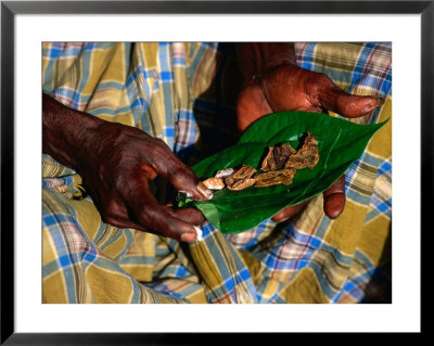 Indigenous Veddah Or Wanniyala-Aetto Man Holding Betel Nuts, Colombo, Sri Lanka by Dallas Stribley Pricing Limited Edition Print image