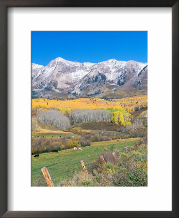 Ohio Creek Road, Near Crested Butte, Colorado, Usa by Rob Tilley Pricing Limited Edition Print image