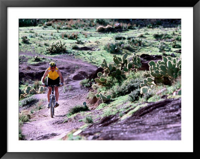 Mountain Biker Riding Into Town Of Real De Catorce, Mexico by Alexander Nesbitt Pricing Limited Edition Print image