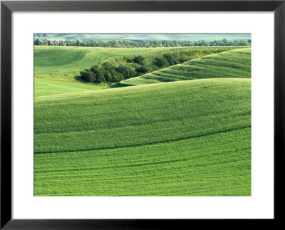Wheatfields In The Palouse, Whitman County, Washington, Usa by Julie Eggers Pricing Limited Edition Print image