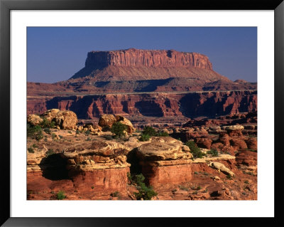 Colorado Overlook, Needles Area, Canyonlands National Park, Utah, Usa by Carol Polich Pricing Limited Edition Print image