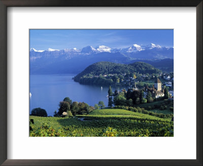 Spiez, Lake Thun, Berner Oberland, Switzerland by Peter Adams Pricing Limited Edition Print image
