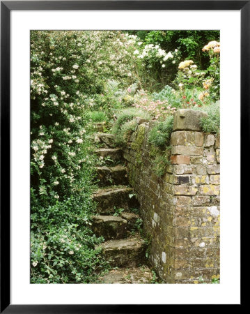 Stone Steps, Beside Old Brick Wall by Jacqui Hurst Pricing Limited Edition Print image