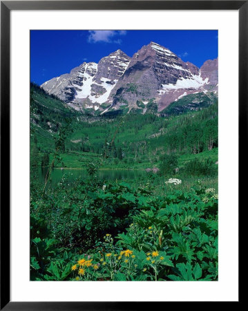 Wild Flowers And Mountain Maroon Bells, Co by David Carriere Pricing Limited Edition Print image