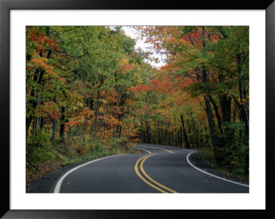 Empty Road Surrounded By Fall Foliage, Upper Mi by Charles Benes Pricing Limited Edition Print image