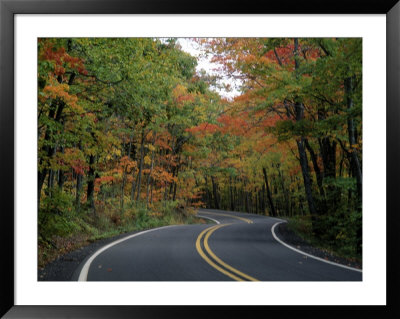 Empty Road Surrounded By Fall Foliage, Upper Mi by Charles Benes Pricing Limited Edition Print image