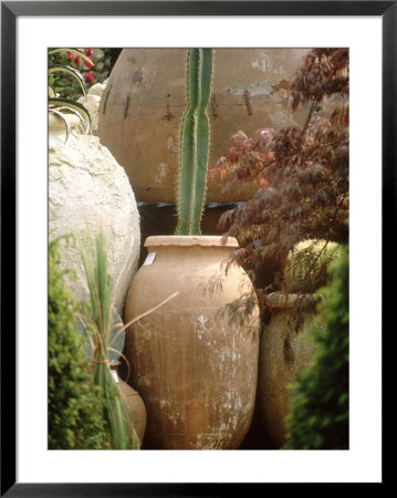 Tall Cactus In Terracotta Urn, Chelsea Flower Show 1997 by Georgia Glynn-Smith Pricing Limited Edition Print image
