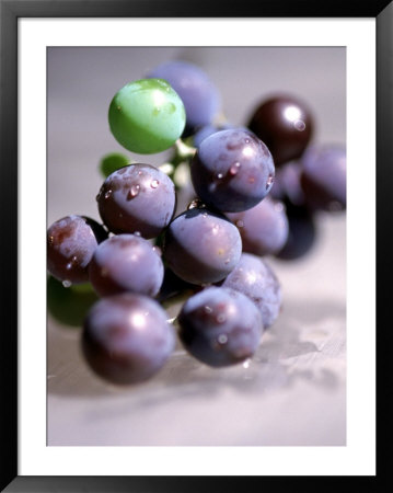 Close-Up Of Grapes by John Glembin Pricing Limited Edition Print image