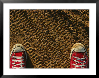 Red Sneakers On Soil Patterned With Tire Tracks by Joel Sartore Pricing Limited Edition Print image