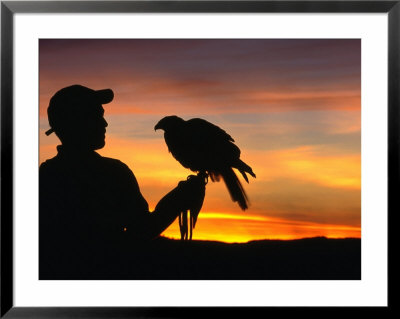 Man Holding A Falcon At Sunset, Perquin, El Salvador by Alfredo Maiquez Pricing Limited Edition Print image