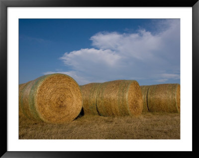 Straw Bales On A Hog Farm In Kansas by Joel Sartore Pricing Limited Edition Print image