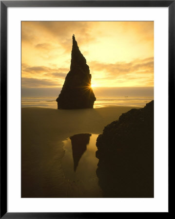 Sunset Silhouettes Seabird Atop Rock Pinnacle, Bandon Beach, Oregon, Usa by Steve Terrill Pricing Limited Edition Print image