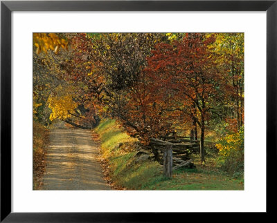 Fall Colors, View Of Country Land, Loudoun County, Virginia, Usa by Kenneth Garrett Pricing Limited Edition Print image