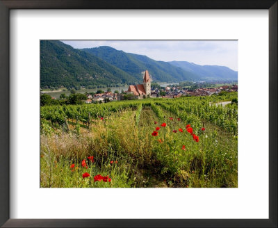 Weissenkirchen Pfarrkirche And Vineyards, Wachau, Lower Austria, Austria by Charles Bowman Pricing Limited Edition Print image