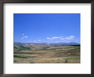 Fields, Island Of Sicily, Italy, Mediterranean by Oliviero Olivieri Pricing Limited Edition Print image