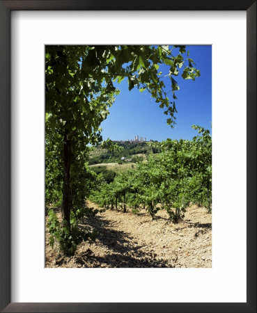 View From Vineyard Of The Town Of San Gimignano, Tuscany, Italy by Ruth Tomlinson Pricing Limited Edition Print image