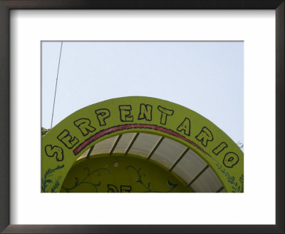 Snake House, Santa Elena, Monteverde, Costa Rica, Central America by R H Productions Pricing Limited Edition Print image