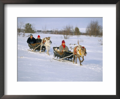 Southern Lapp Man With Reindeer Sledge, Roros, Norway, Scandinavia by Adam Woolfitt Pricing Limited Edition Print image