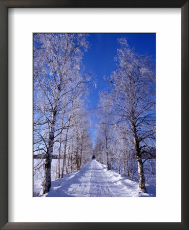 Snow On Country Road, Liminka, Finland by David Tipling Pricing Limited Edition Print image