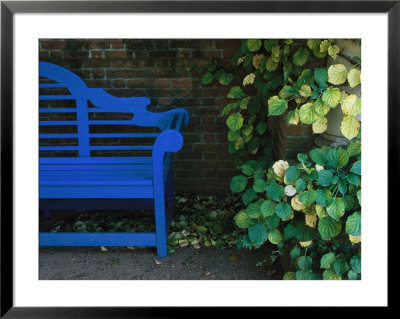 A Brightly Colored Blue Bench At The Chicago Botanic Garden by Paul Damien Pricing Limited Edition Print image