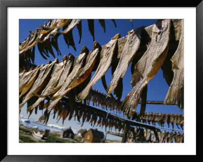 Fish Dry In The Backyard Of A Fishermans House by Sisse Brimberg Pricing Limited Edition Print image
