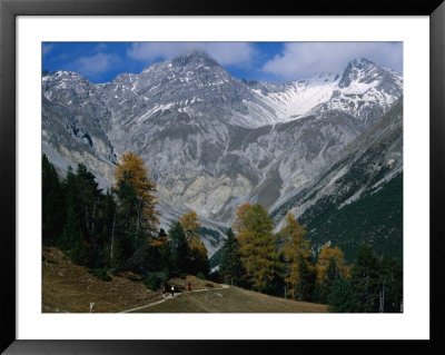 Hikers Going To Grimmels Pasture, Piz Ftur And Piz Sampuoir In Swiss Nat. Park, Zernez, Switzerland by Martin Moos Pricing Limited Edition Print image