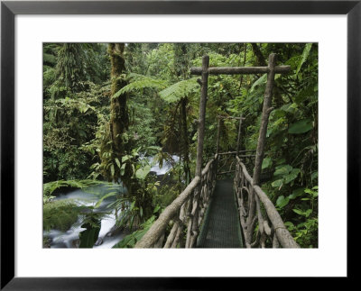 Trail In Cloud Forest, La Paz Waterfall Gardens, Central Valley, Costa Rica by Rolf Nussbaumer Pricing Limited Edition Print image