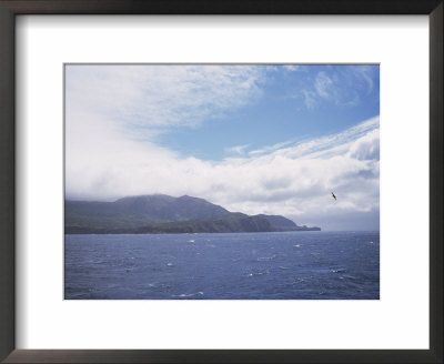 Gough Island, South Atlantic by Geoff Renner Pricing Limited Edition Print image
