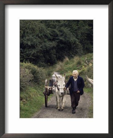 Donkey Cart, County Leitrim, Connacht, Republic Of Ireland (Eire) by Adam Woolfitt Pricing Limited Edition Print image