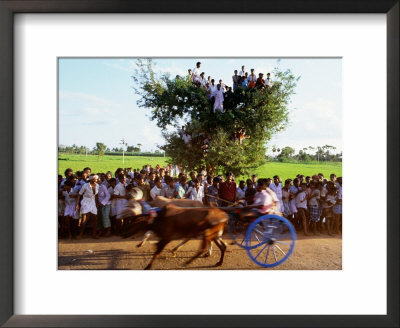 Bullock Cart Race, Madurai, Tamil Nadu, India by Greg Elms Pricing Limited Edition Print image