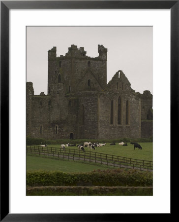 Dunbrody Abbey, Dumbrody, County Wexford, Leinster, Republic Of Ireland (Eire) by Sergio Pitamitz Pricing Limited Edition Print image