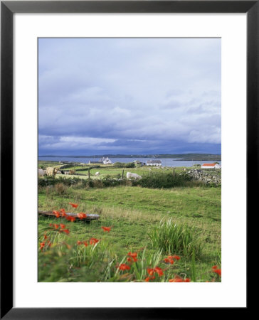 Landscape Near Ardara, County Donegal, Ulster, Eire (Republic Of Ireland) by David Lomax Pricing Limited Edition Print image