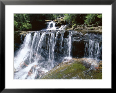 Wentworth Falls, Blue Mountains, New South Wales (Nsw), Australia by Robert Francis Pricing Limited Edition Print image