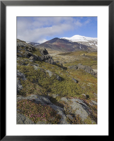 Moss Covered Lava Beds Surround Snaefellsjokull, On The Snaefellsnes Peninsula, Iceland by Neale Clarke Pricing Limited Edition Print image