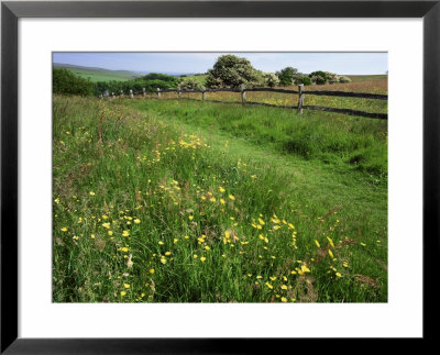 South Downs Way Near East Dean, East Sussex, England, United Kingdom by Kathy Collins Pricing Limited Edition Print image