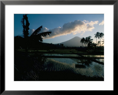 Reflections In Water Of Rice Paddies, Amed Village, Island Of Bali, Indonesia, Southeast Asia by Bruno Barbier Pricing Limited Edition Print image