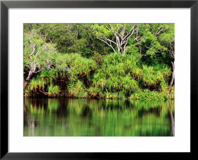 Mardugal Billabong, Kakadu National Park, Northern Territory, Australia by John Banagan Pricing Limited Edition Print image